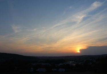 Tocht Te voet Czudec - Szlak Czarny Czudec - Photo