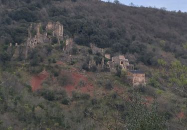 Excursión Marcha nórdica Octon - 34 Octon - chapelle Notre Dame de Roubignac - Photo