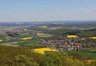 Percorso A piedi Gladenbach - Rimbergweg - Photo