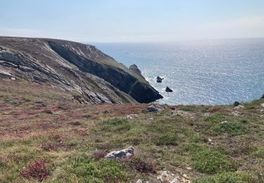 Trail Walking Crozon - Cap de la Chevre  - Photo