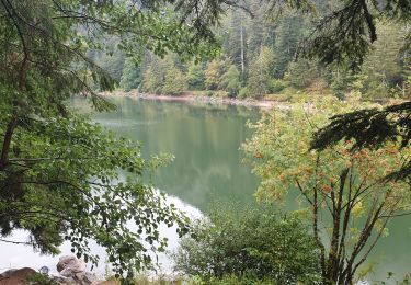 Excursión Senderismo La Bresse - lac corbeaux - Photo