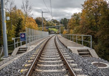 Randonnée A pied Wünnewil-Flamatt - Flamatt / Station - Ueberstorf - Photo