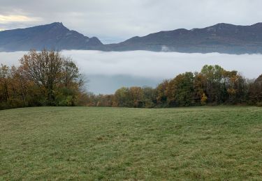 Randonnée sport Aix-les-Bains - Croix de Corsuet - Photo