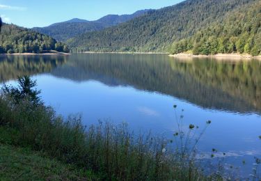 Tour Wandern Krüt - kruth - Photo