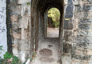 Tocht Stappen Château-Arnoux-Saint-Auban - balade a Château Arnoux  - Photo