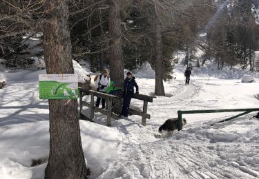 Randonnée Marche Le Petit Jardin - Arvieux-Queyras 11-02-21 - Photo