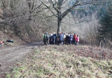 Tour Wandern Moosch - 2020.02.04.Moosch - Photo