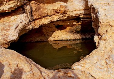 Randonnée A pied Conseil régional de Ramat Negev - IL-14180 - Photo