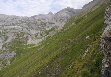 Tocht Noords wandelen Arbaz - Pas de Maimbré  - Photo