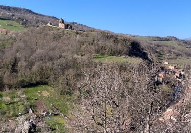 Trail On foot Coudes - GR Pays autour d'Issoire et de la couze pavin sur 2 jours 61 km - Photo