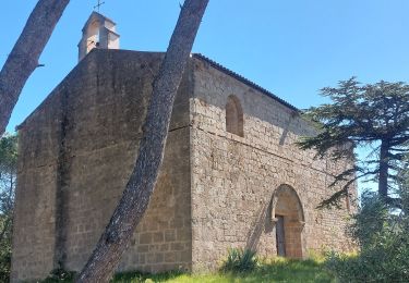 Trail Walking Capestang - CC_Piemont_AB_02_Capestang_Bize-Minervois_20240612 - Photo