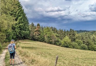 Trail Walking Saint-Pal-de-Mons - chapelle ste julien-7 km - Photo