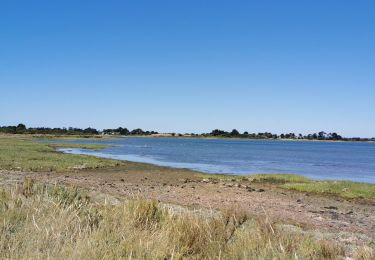 Excursión Senderismo Île-d'Arz - tour île d'arz  - Photo