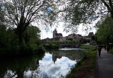 Randonnée Marche Rochefort-sur-Nenon - Rochefort à Dole par Canal AR - Photo