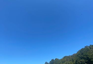 Randonnée Marche Gerpinnes - Tour d’été  - Photo