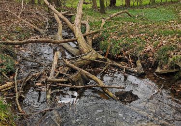 Randonnée A pied Ulsnis - Erholungsort Ulsnis: Rundweg Knappersfeld - Photo