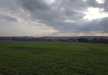 Percorso Mountainbike Saint-Clément - sortie VTT du 20022019 Hablainville baccarat - Photo