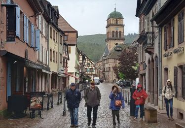Tour Wandern Katzenthal - Katzenthal  - Photo