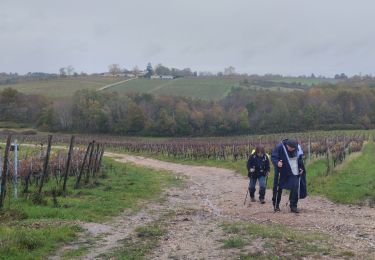 Randonnée Marche Haux - Haux - Photo