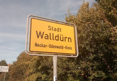 Tour Zu Fuß Walldürn - Biotoplehrpfad Walldürn - Photo