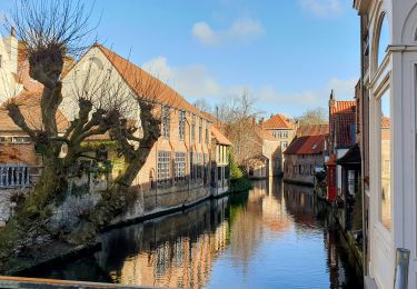 Tocht Stappen Brugge - Bruges - Centre Historique - Photo