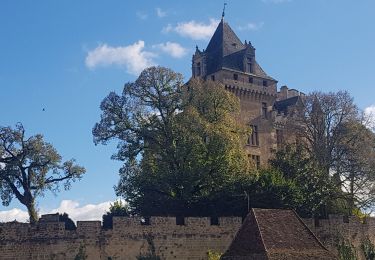 Tocht Stappen Saint-Vincent-le-Paluel - Rando Dordogne jour 1 - Photo