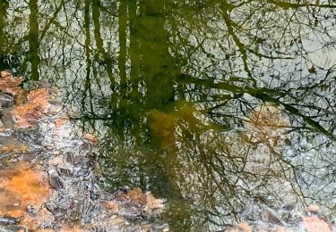 Tocht Te voet Calau - Wanderweg Cabeler Berge-Calau-Moder Teiche-Kemmen-... - Photo