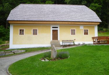 Tocht Te voet Schenkenfelden - Märchenwanderweg - Photo