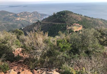 Tour Wandern Saint-Raphaël - Les grues et le Mont St Martin depuis le col Notre Dame - Photo