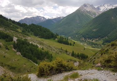 Trail Walking Val-d'Oronaye - Larche  - Photo