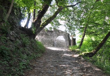 Trail On foot Waidbruck - Ponte Gardena - IT-1 - Photo