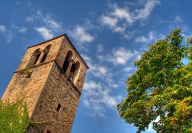 Trail On foot Montefiorino - Torrente Dragone - Castellaccio - Costrignano - Croce di Costrignano - Photo