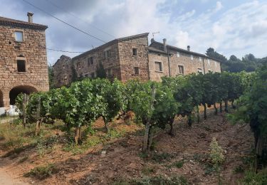 Tour Wandern Faugères - Faugères Payzac 13km - Photo