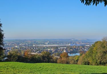 Randonnée Marche Visé - Hermalle - Argenteau _1489 - Photo