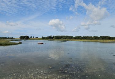 Tour Wandern Vannes - Ballade_002 - Photo