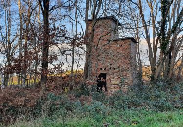 Tour Wandern Les Damps - Forêt de Bord 5,5 km - Photo