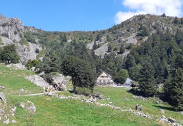 Tocht Stappen Le Valtin - Lac Vert - Lac du Forlet - Gazon du Faing - Photo