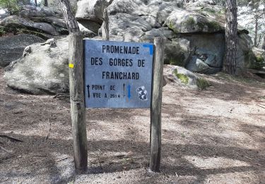 Randonnée Marche Fontainebleau - Gorges de Franchard ac Smith  - Photo