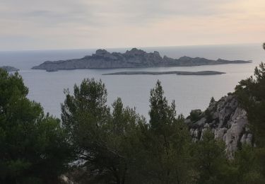 Trail Walking Marseille - L'Escu - Photo