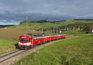 Tour Zu Fuß Walkringen - Walkringen-Nest - Photo