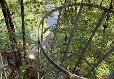 Tour Wandern Bouillon - Lés échelles de Rochehaut - Photo