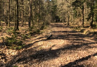 Tocht Te voet Theux - Balade Banneux-Hodbomont 10 KM - Photo