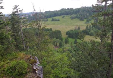 Tour Wandern La Bosse - La Bosse - Photo