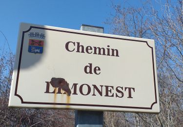 Trail Walking Chasselay - Chasselay chemin de Fromentin vers Limonest Mt Verdun - Photo