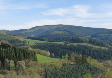 Randonnée A pied Schmallenberg - Lenne Rundweg LE2 - Photo