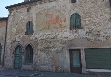 Percorso A piedi Monteviale - Sentiero del Perozzo - Photo