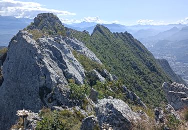 Tocht Klimmen Saint-Martin-le-Vinoux - neron - Photo