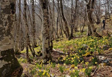 Trail Walking Agos-Vidalos - pibeste mars 2022 - Photo