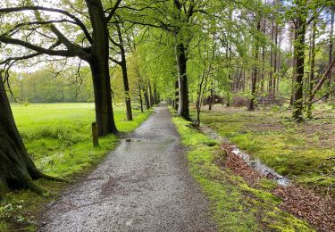 Trail Walking Maldegem - Kleit 19,5 km - Photo