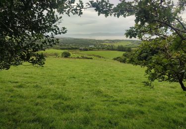 Tocht Stappen West Cork - Hungry Hill - Photo